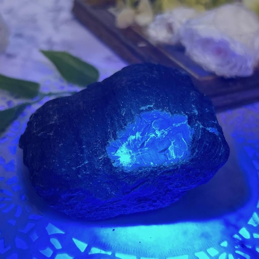 Amazon.co.jp: E9018スマトラブルーアンバー＊青い蛍が美しい